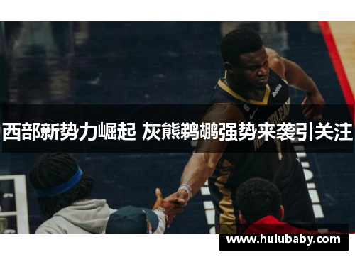 西部新势力崛起 灰熊鹈鹕强势来袭引关注