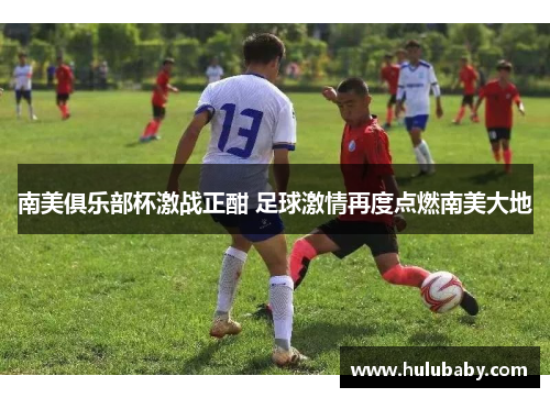 南美俱乐部杯激战正酣 足球激情再度点燃南美大地