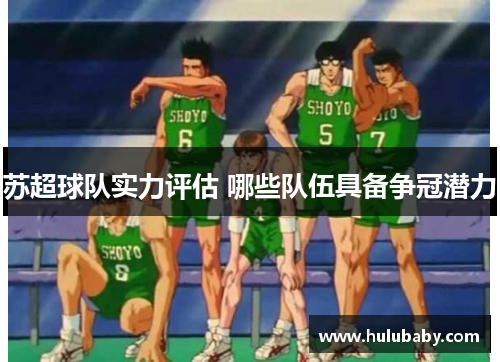 苏超球队实力评估 哪些队伍具备争冠潜力
